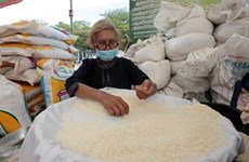 Les exportations de riz de la Thaïlande devraient dépasser huit millions de tonnes