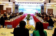 Gia Lai présente ses forces et son potentiel à des partenaires étrangers