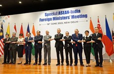 Le Vietnam participe à une discussion ministérielle sur les 30 ans de relations ASEAN-Inde