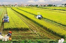 Le secteur agricole cible l’objectif de sécurité alimentaire et d'exportation