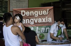 Les Philippines enregistrent des cas de dengue en sept mois