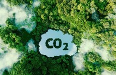 Promouvoir le développement du marché du carbone