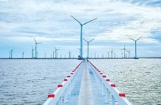 Le delta du Mékong développe les énergies renouvelables