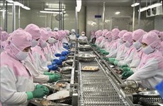 Rebond des exportations de crevettes vers les principaux marchés