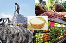 Les produits agricoles vietnamiens pénètrent le marché sud-coréen