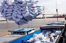 Montée en flèche des exportations vietnamiennes de riz en Indonésie en dix mois