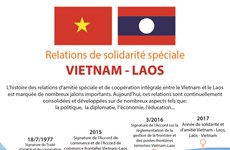 Relations de solidarité spéciale Vietnam-Laos
