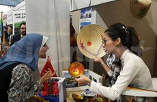 Le Vietnam présent à la fête culturelle Sakia 2019 au Caire