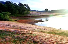 Le lac Dankia deviendra un haut  lieu touristique du Tay Nguyen