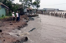 Colloque sur les mesures pour lutter contre l'érosion dans le delta du Mékong