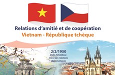 Relations d’amitié et de coopération Vietnam - République tchèque