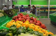 Les exportations de fruits et légumes rebondissent en avril