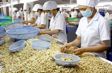 La Côte d'Ivoire souhaite coopérer avec Binh Phuoc dans la transformation de la noix de cajou