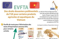 EVFTA: Des droits douaniers préférentiels de l’UE pour produits  agricoles et aquatiques du Vietnam