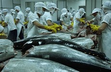 Les exportations de thon augmentent de 10% en 2019
