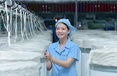 EVFTA, opportunité pour les entreprises vietnamiennes d'entrer dans la zone euro