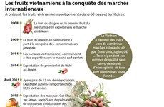 Les fruits vietnamiens à la conquête des marchés  internationaux