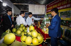 Ouverture de la Semaine des oranges de Cao Phong 2020