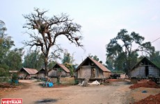 Village de M’Lieng - lieu de conservation de la culture du peuple M’nong