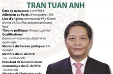 Tran Tuan Anh: président de la Commission économique du CC du PCV