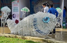 Da Nang: mise en œuvre expérimentale du projet «marché traditionnel sans sacs plastiques»