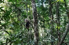 Trois animaux sauvages relâchés dans le Parc national de Bu Gia Map