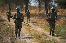 ONU : Le Vietnam appelle à promouvoir une solution rapide et pacifique à la question d’Abyei