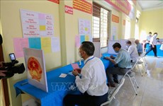 Des médias étrangers apprécient grandement l'organisation des élections législatives du Vietnam  ​