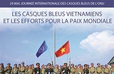 Les casques bleus vietnamiens et les efforts pour la paix mondiale