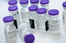 COVID-19 : le premier lot de vaccin de Pfizer pour le Vietnam arrivera en juillet