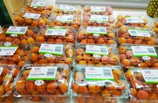 Entreprises vietnamiennes d'outre-mer: passerelles pour "donner des ailes" aux produits agricoles