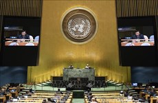 ONU : le Vietnam condamne les actes d'instabilité politique en Haïti