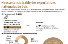 Hausse considérable des exportations nationales de bois