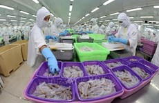 L'industrie de transformation de crevettes s'efforce de maintenir l’objectif des exportations