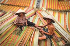 La vitalité d'un village de tissage de nattes à Dông Thap