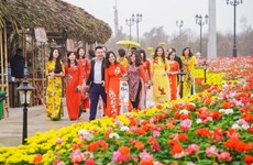 Têt 2022 : des festivals floraux très attendus à Hô Chi Minh-Ville