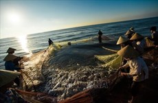 Le Vietnam veut développer une pêche durable et responsable