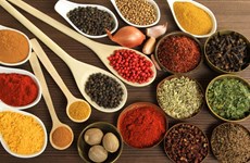 Opportunité d'exportation d'épices et de produits aromatiques vers l'Inde