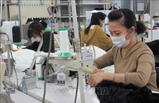 GoWell assiste les Vietnamiens dans la recherche d’un emploi au Japon