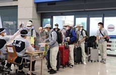 La R. de Corée prolonge les contrats de travail pour les Vietnamiens