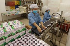 Potentiels pour le développement de l'industrie laitière au Vietnam