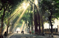 Hanoï, une destination à ne pas manquer en automne