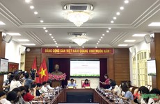 Bientôt le Festival d'échange culturel, sportif et touristique Vietnam-Laos 