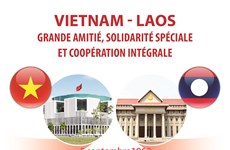 Grande amitié, solidarité spéciale et coopération intégrale Vietnam-Laos