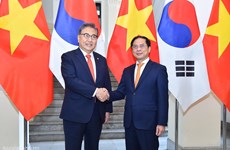 Le ministre des AE Bui Thanh Son s'entretient avec son homologue sud-coréen Park Jin