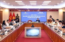 Renforcer la communication sur les politiques et lois auprès des Vietnamiens d'outre-mer