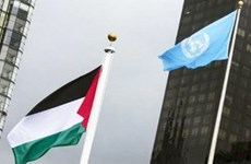 Message de félicitations pour la Journée internationale de solidarité avec le peuple palestinien