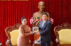 Promouvoir la reprise de la ligne aérienne directe entre Da Nang et le Cambodge