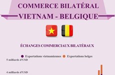 Commerce bilatéral Vietnam-Belgique