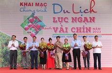 Bac Giang : programme touristique à la saison des litchis mûrs de Luc Ngan 2023